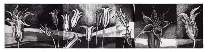 Columbine Suite (etching)